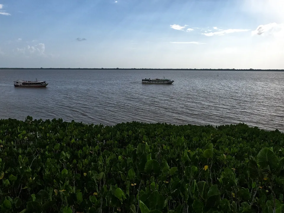 Mangal das Garças in Belém, Pará