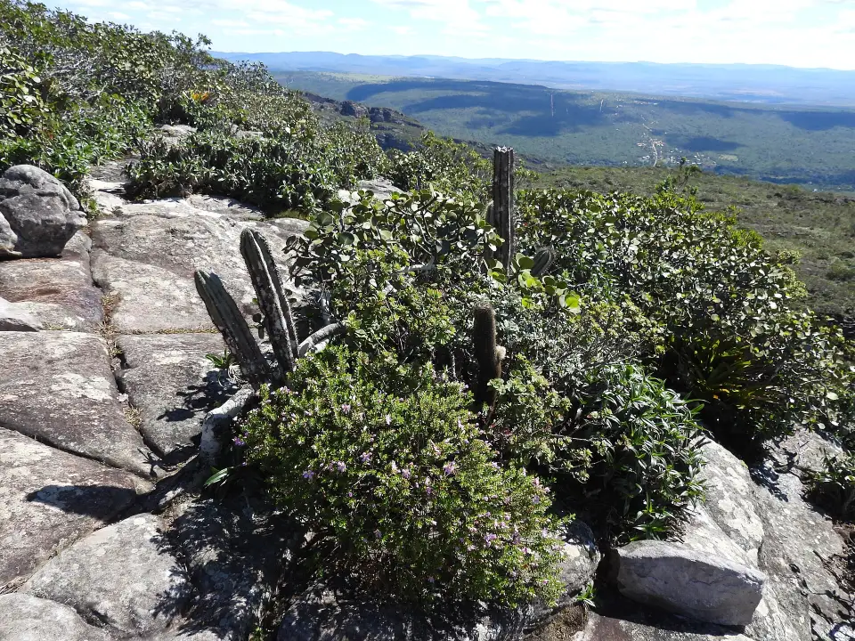 Berglandschaft am Morro do Pai Inácio in der Chapada Diamantina, Bahia