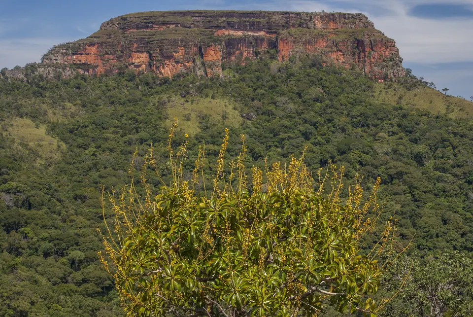 Morro de São Jerônimo in Chapada dos Guimarães