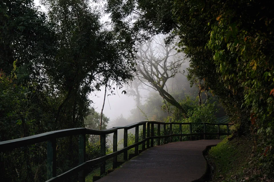 Visitor trail beside Iguaçu Falls on the Brazilian side