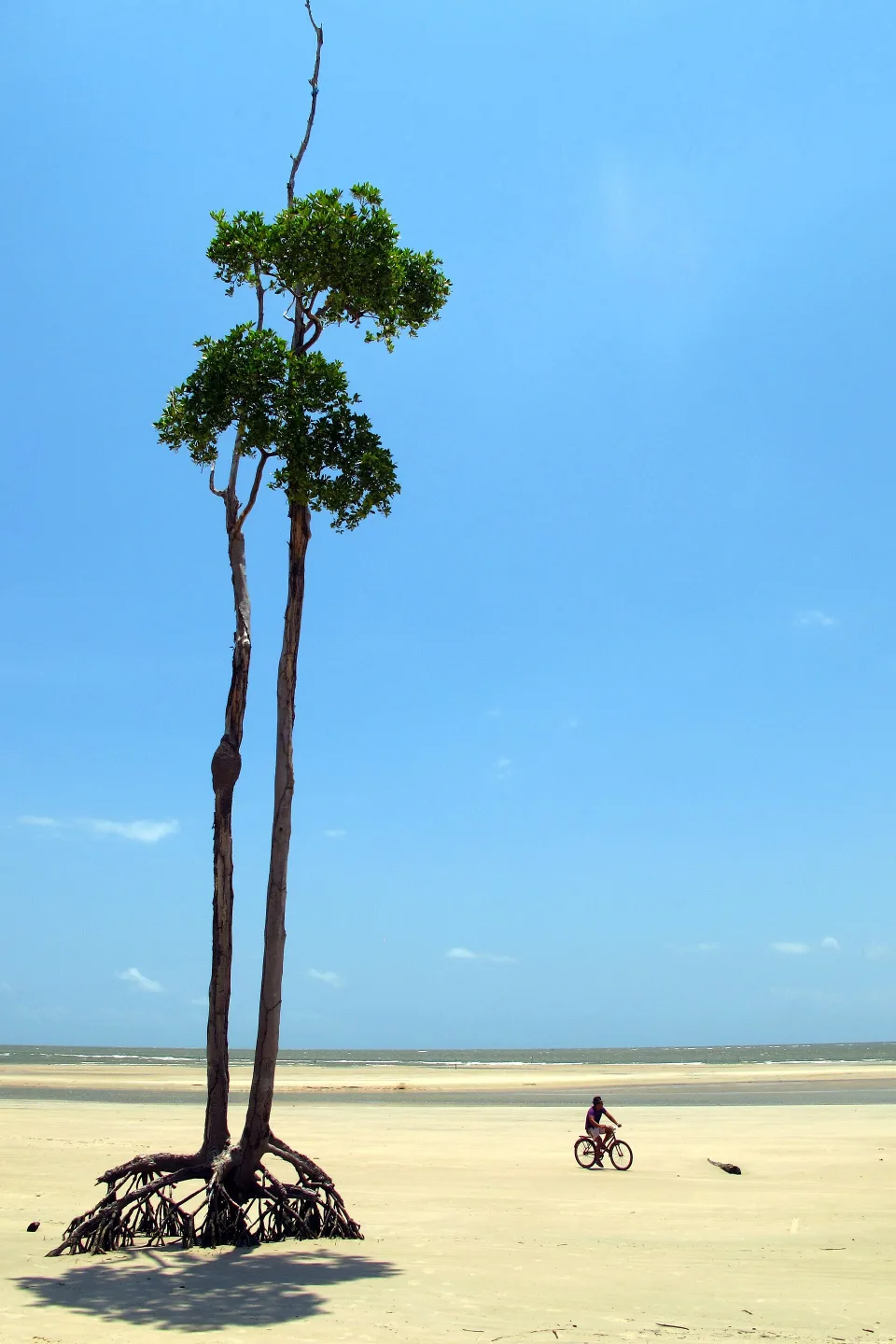 Soure beach on Marajó