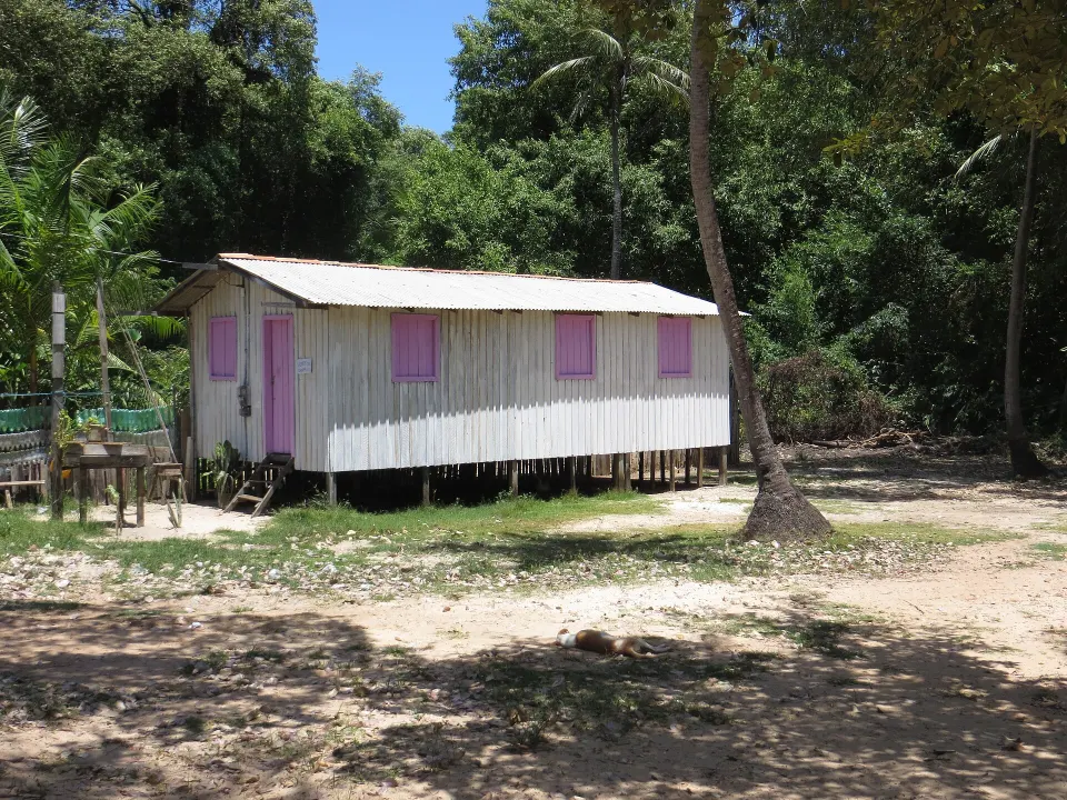 Rural landscape on Ilha de Marajó