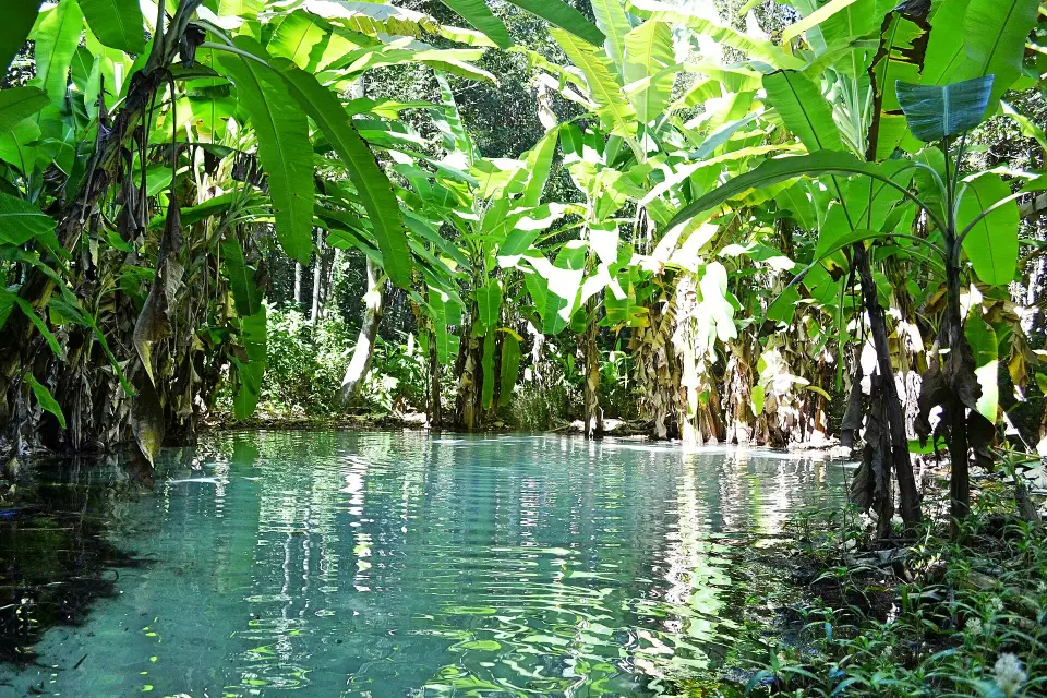 Fervedouro spring pool in Jalapão, Tocantins