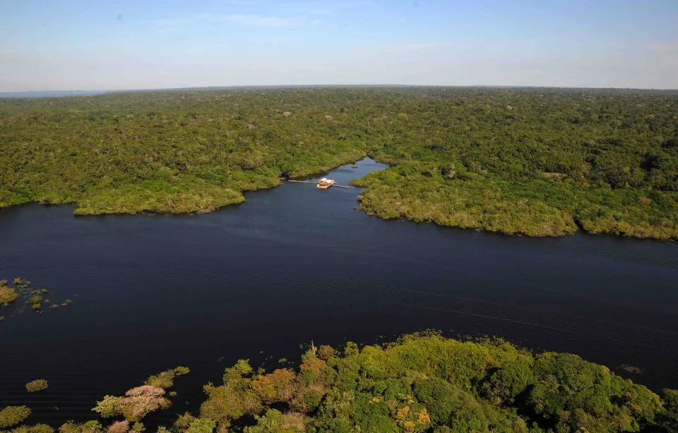 Lago Tarumã near Manaus in the Brazilian Amazon