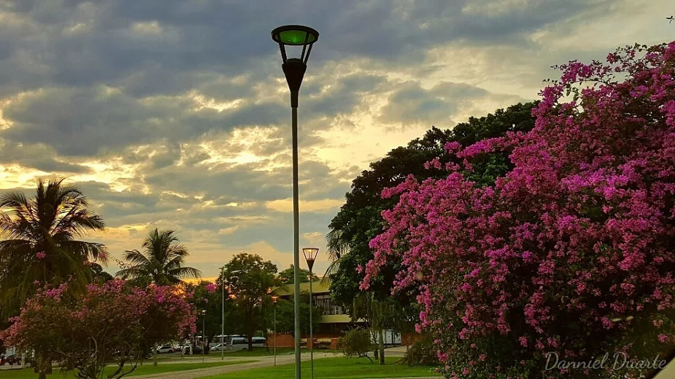 Praça dos Girassóis in Palmas