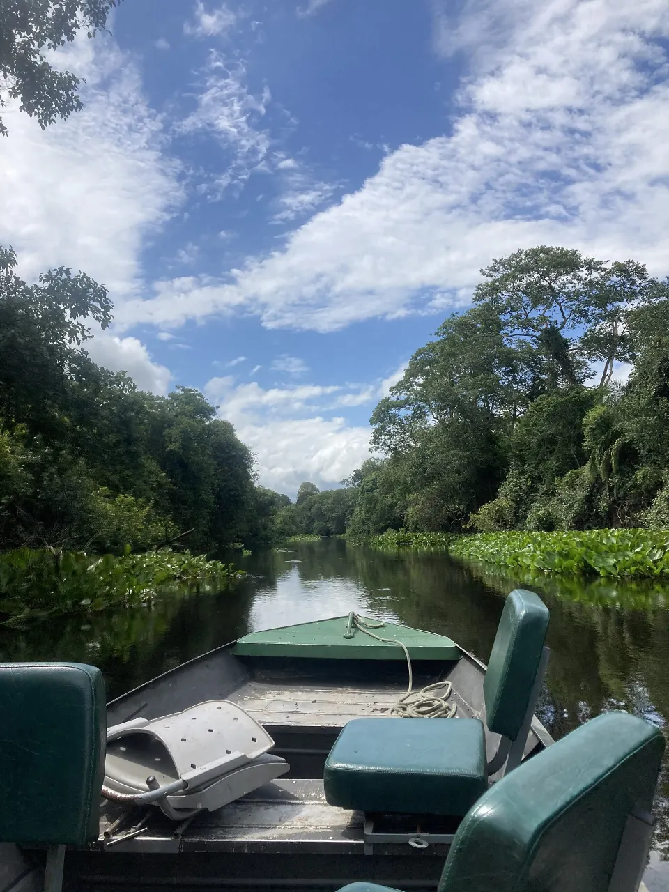 Boat on the Rio Miranda in the Pantanal