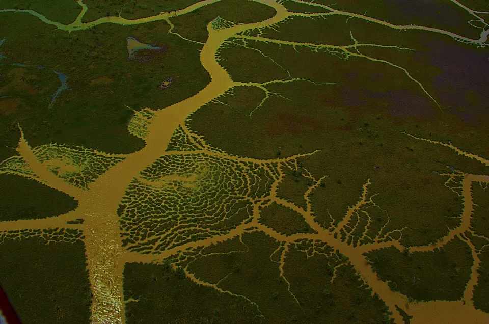 Landscape of the Parnaíba Delta between Piauí and Maranhão