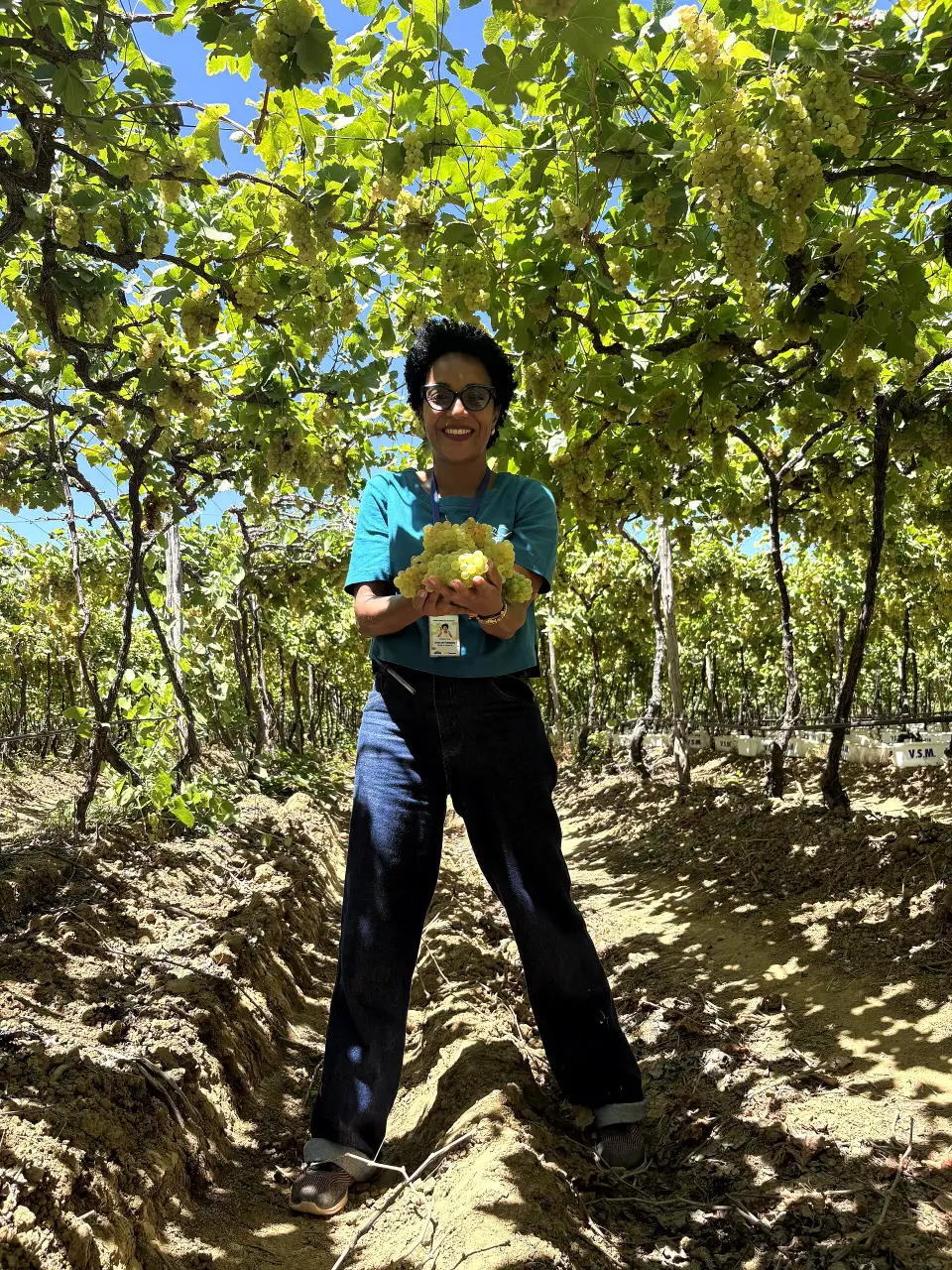 São Francisco Valley winery