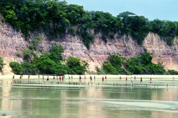 Cliffs and beach at Pipa, Rio Grande do Norte