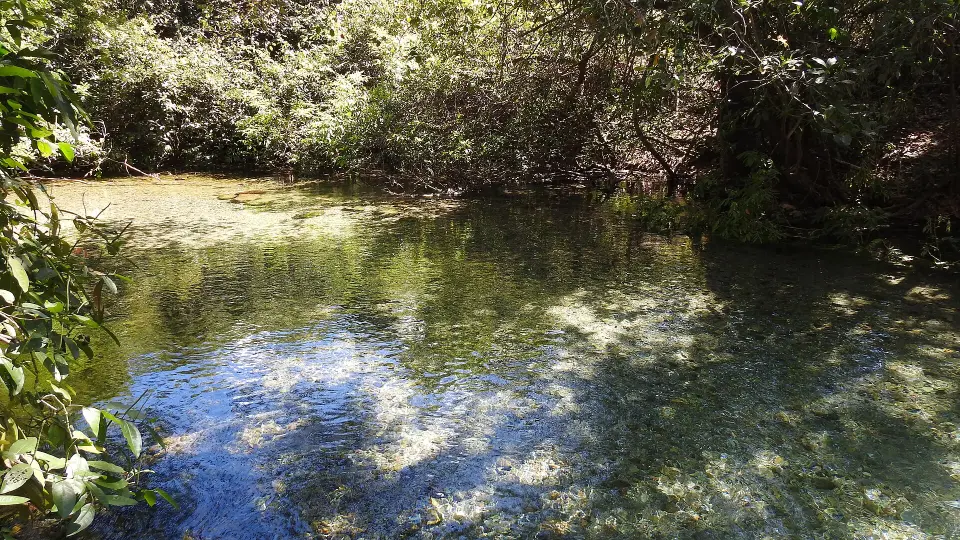 Rio Azuis in the Serras Gerais