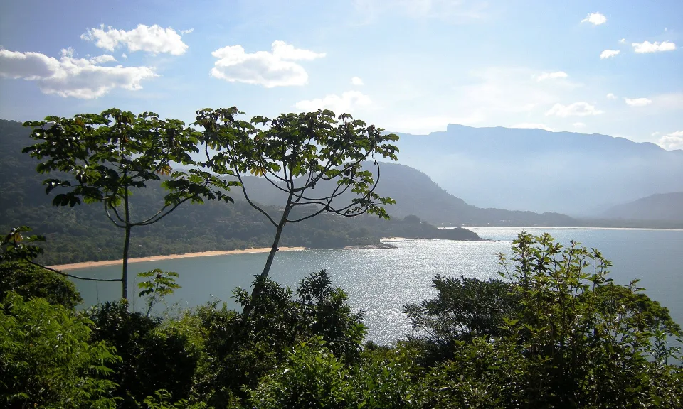 Atlantic Forest coast and beaches in Ubatuba, São Paulo