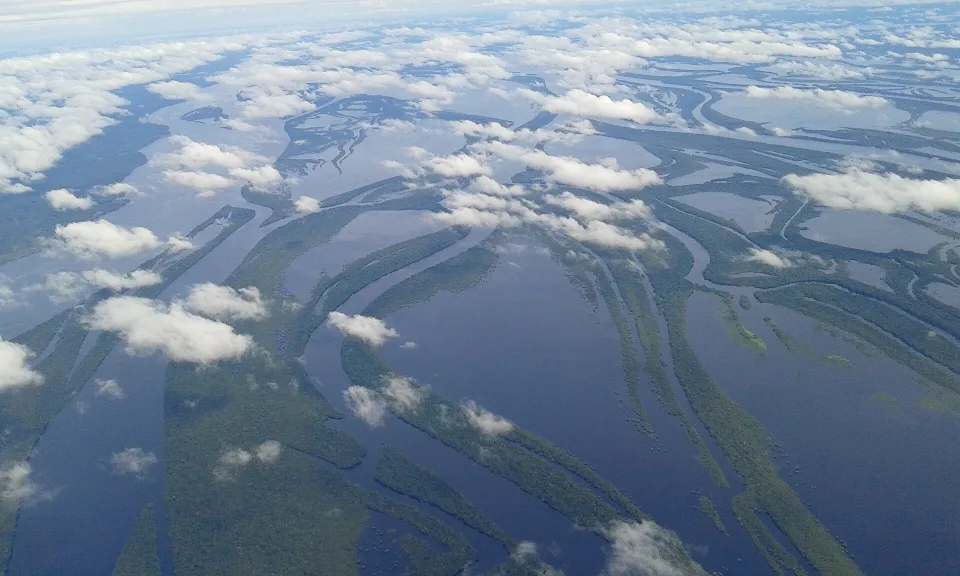 Río Negro e islas Anavilhanas en la Amazonia central