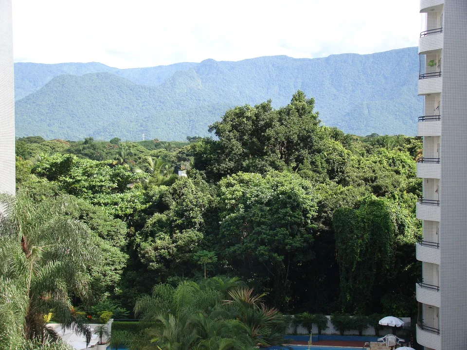 Atlantic Forest and Serra do Mar in São Paulo state