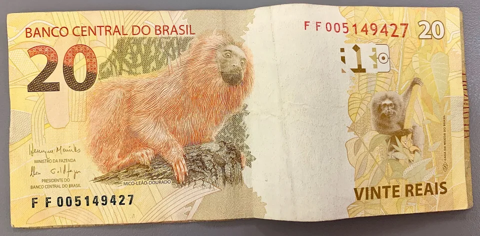 Brazilian 20 real banknote featuring the golden lion tamarin