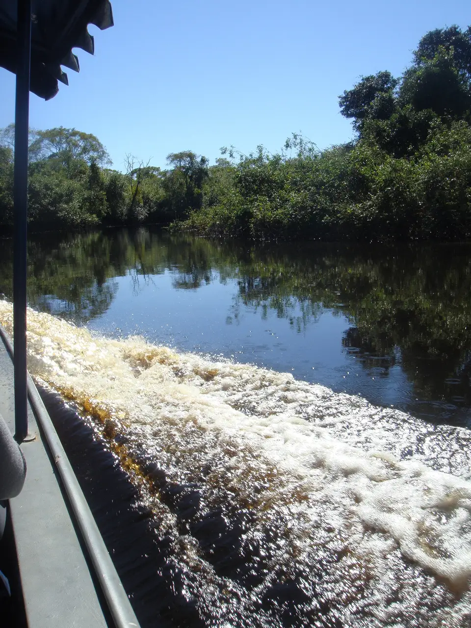 Small boat travelling through the Pantanal wetlands in Brazil