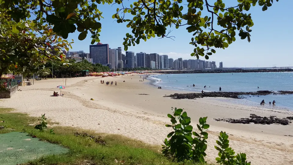 Fortaleza’s beach and waterfront skyline framed by leafy branches
