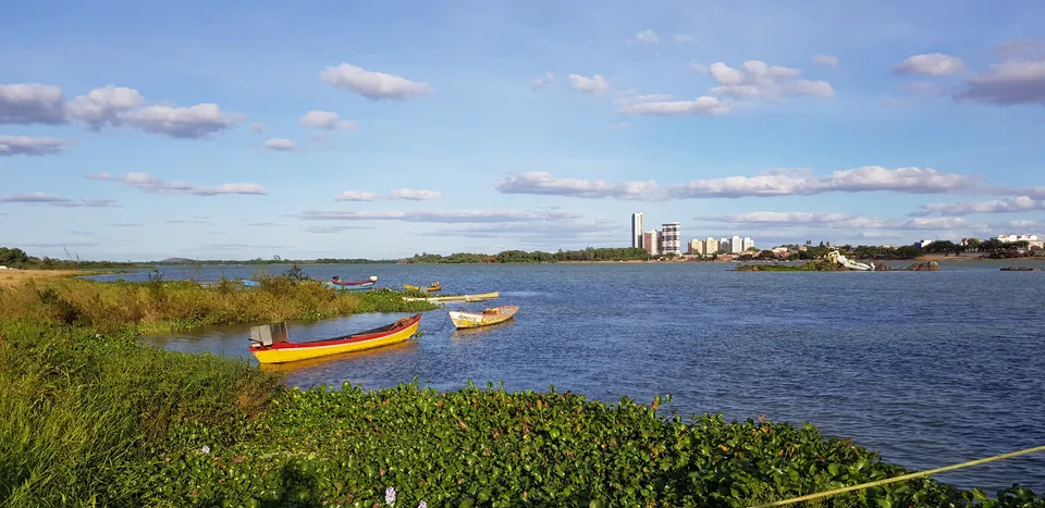 Pequeñas barcas de colores en el río São Francisco junto a una orilla verde en la región de Petrolina