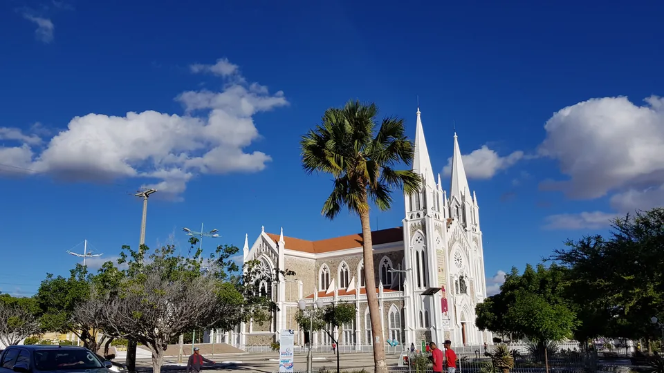 Torres blancas de la catedral de Petrolina detrás de una palmera bajo un cielo azul